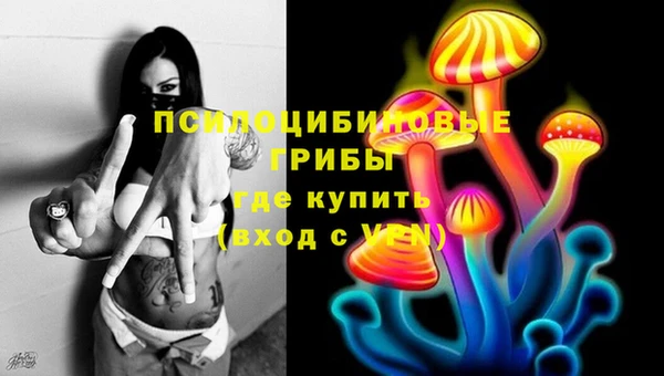 молекула духа Абинск