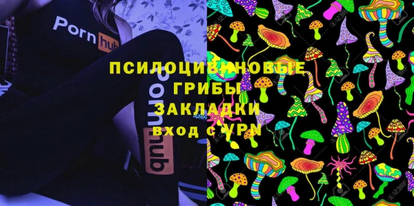 тгк Абаза