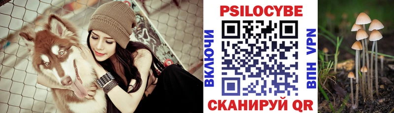 как найти наркотики  Власиха  Псилоцибиновые грибы Psilocybine cubensis 